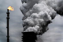 Lade das Bild in den Galerie-Viewer, Einzelcoaching ab 149,- € pro Stunde. Individuell zugeschnitten