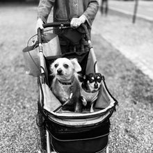 Lade das Bild in den Galerie-Viewer, Einzelcoaching ab 149,- € pro Stunde. Individuell zugeschnitten