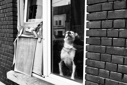 Impressionen aus Charleroi