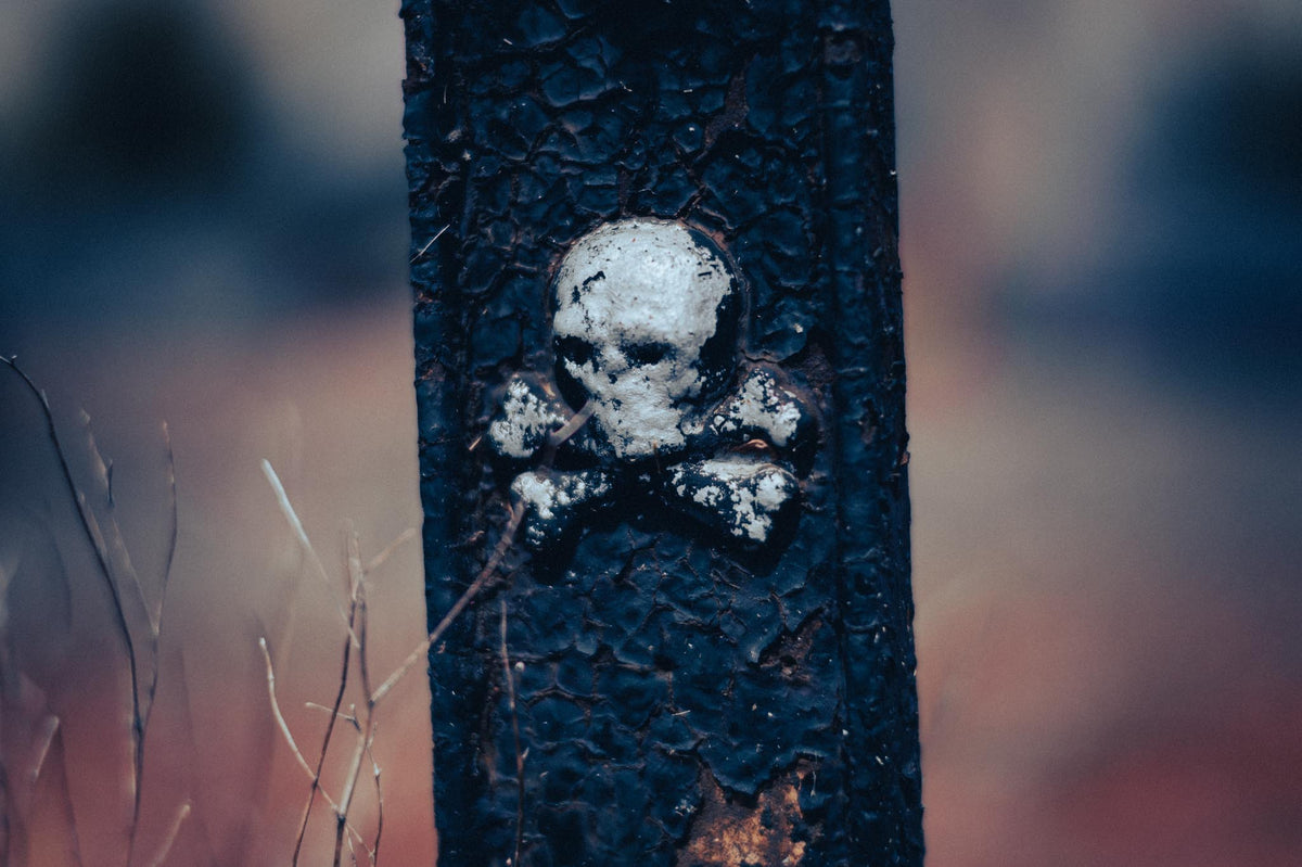 Die Friedhofstour - Eine Fotografische Reise über Friedhöfe