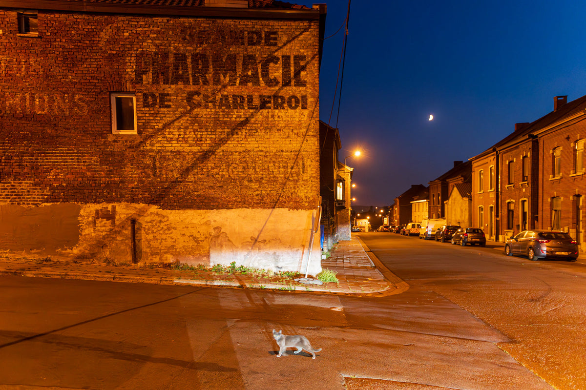Nächtliche Straßenszene mit Katze und alter Backsteinfassade