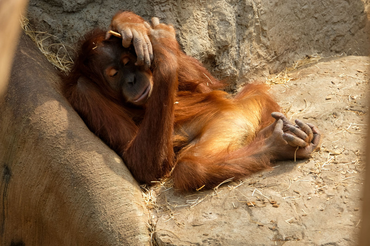 Basisworkshop in einem der schönsten Zoos