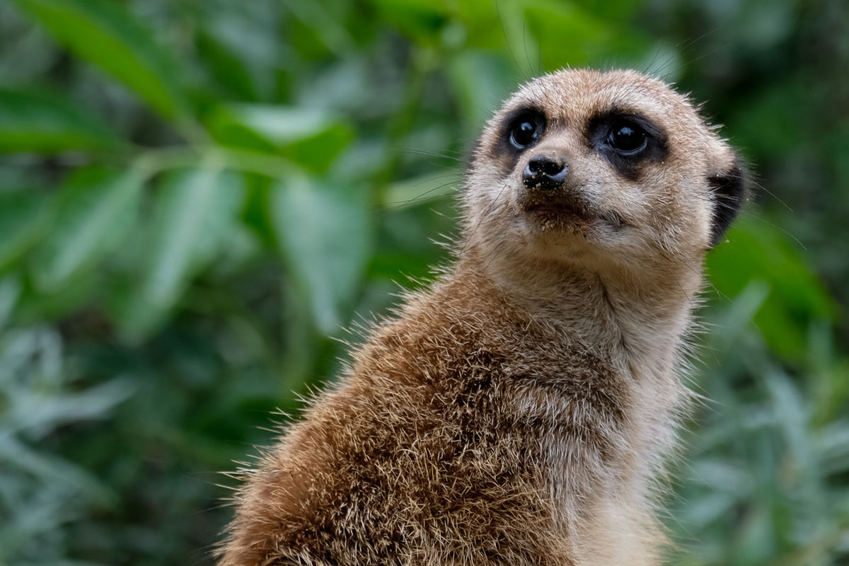 Basisworkshop in einem der schönsten Zoos