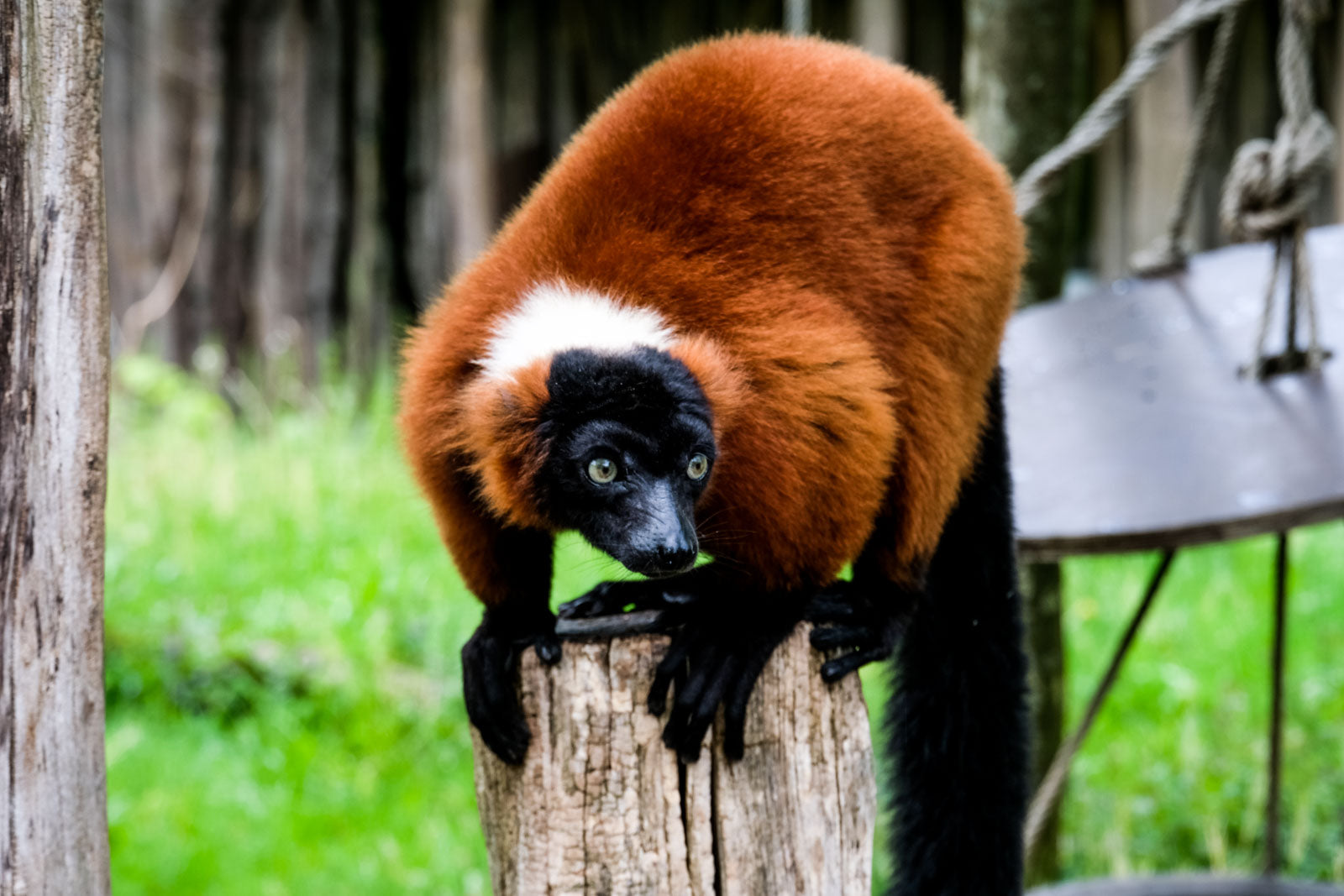 Basisworkshop in einem der schönsten Zoos