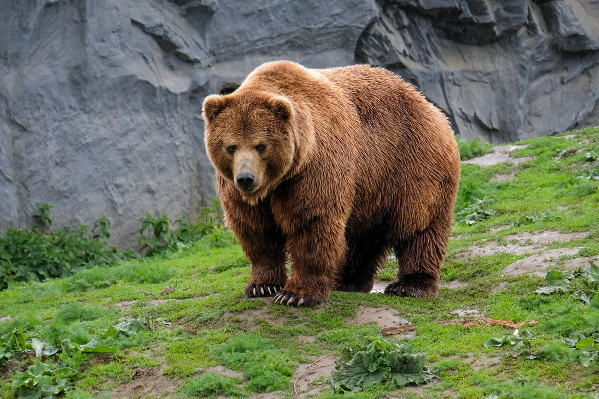 Basisworkshop in einem der schönsten Zoos